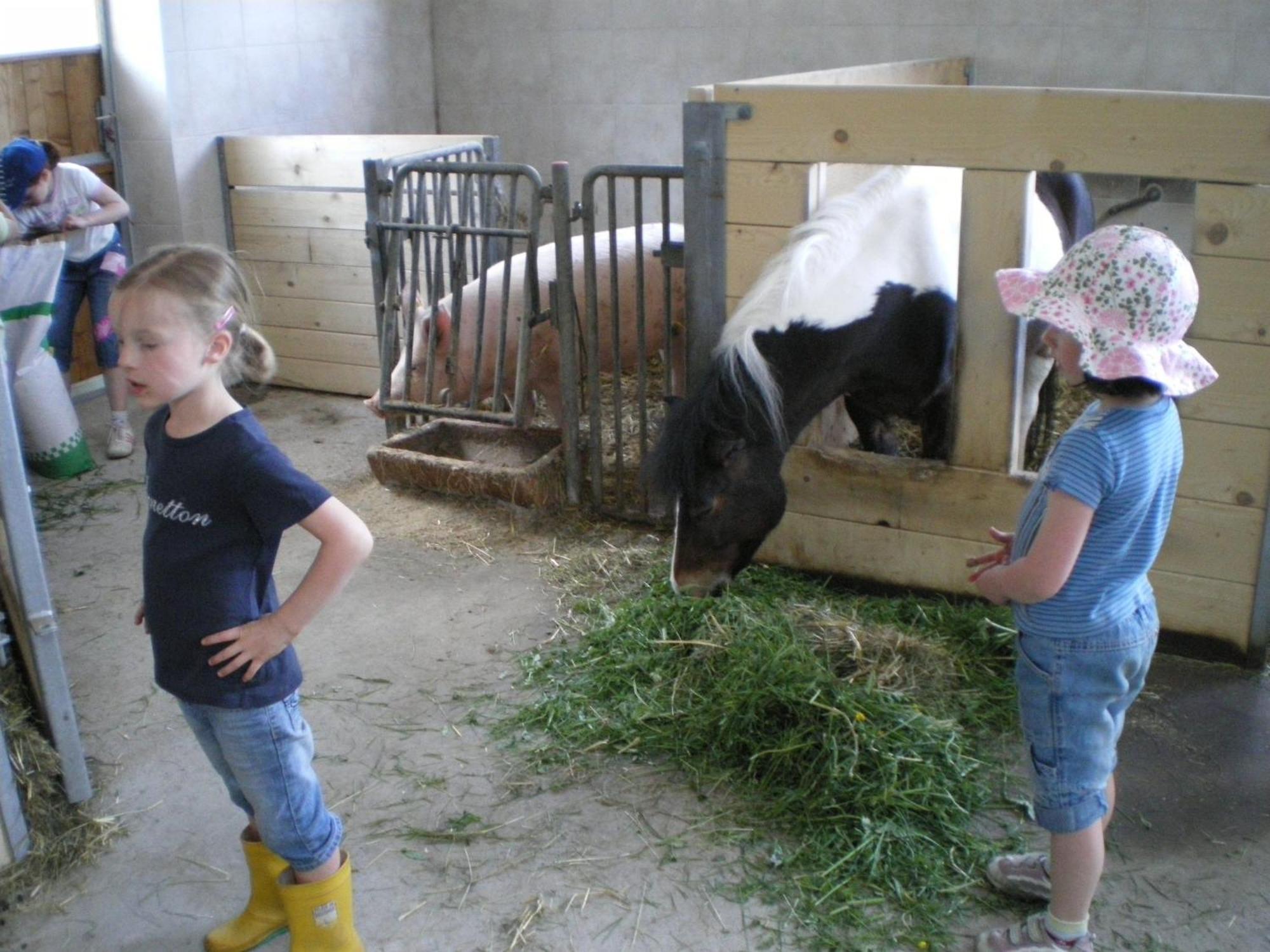 Russbachbauer Séjour à la ferme *