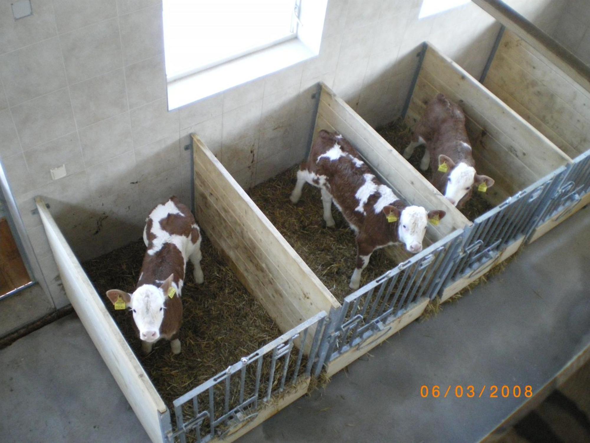 Russbachbauer Séjour à la ferme Saint Wolfgang