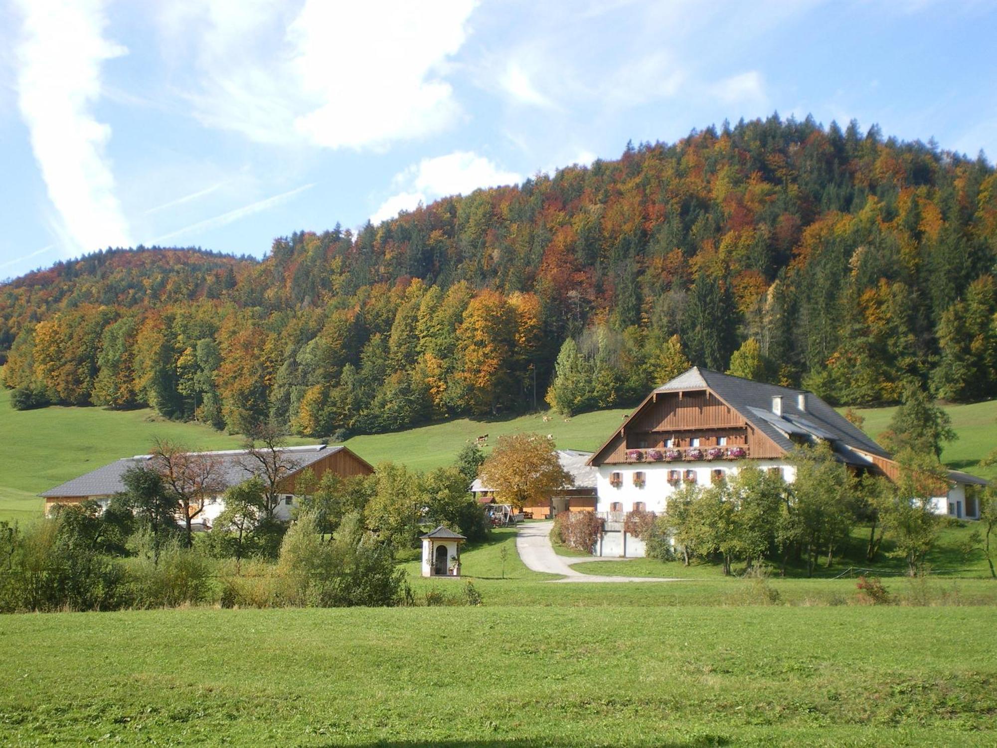 Russbachbauer * Saint Wolfgang