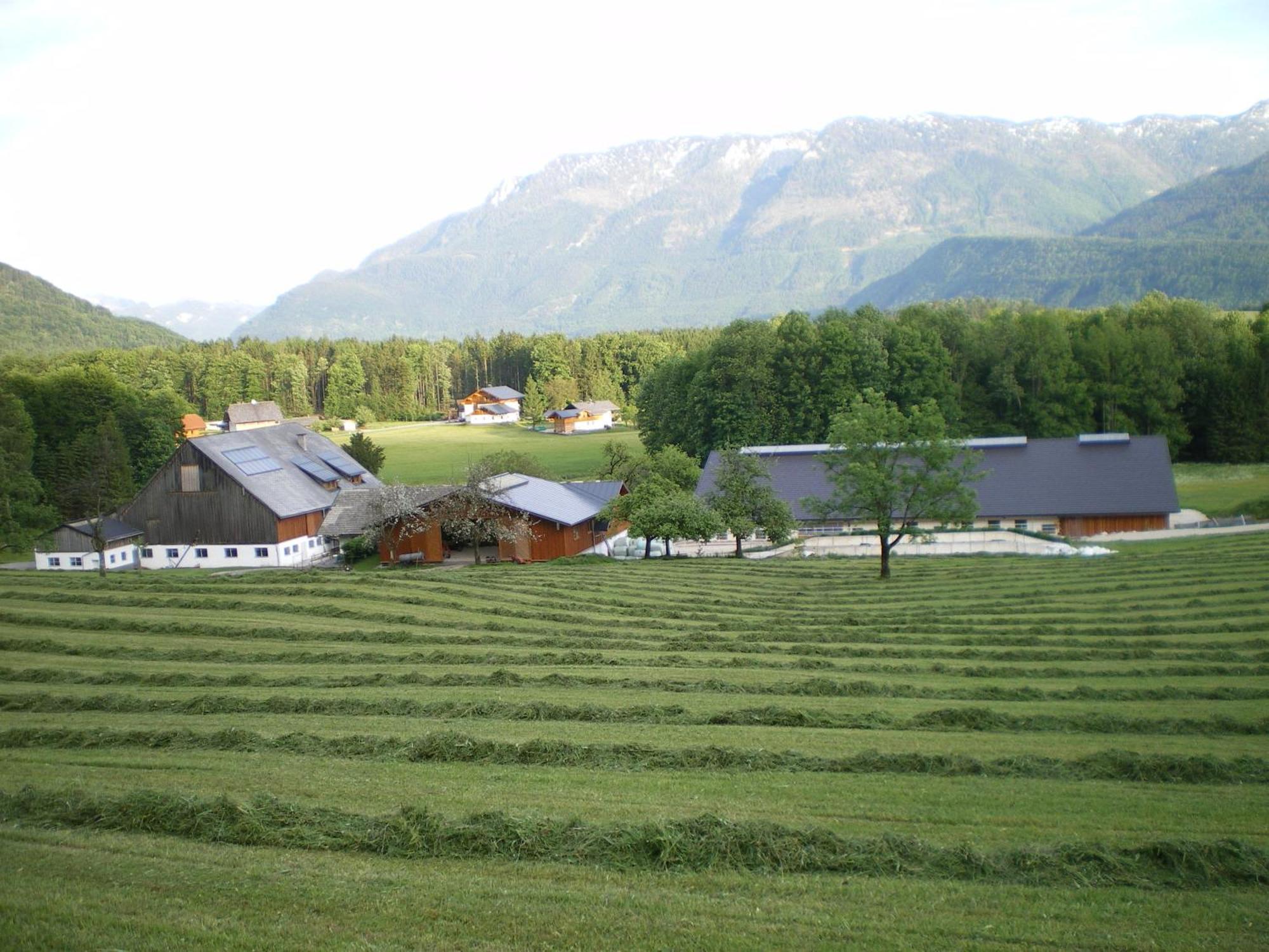 Séjour à la ferme Russbachbauer *