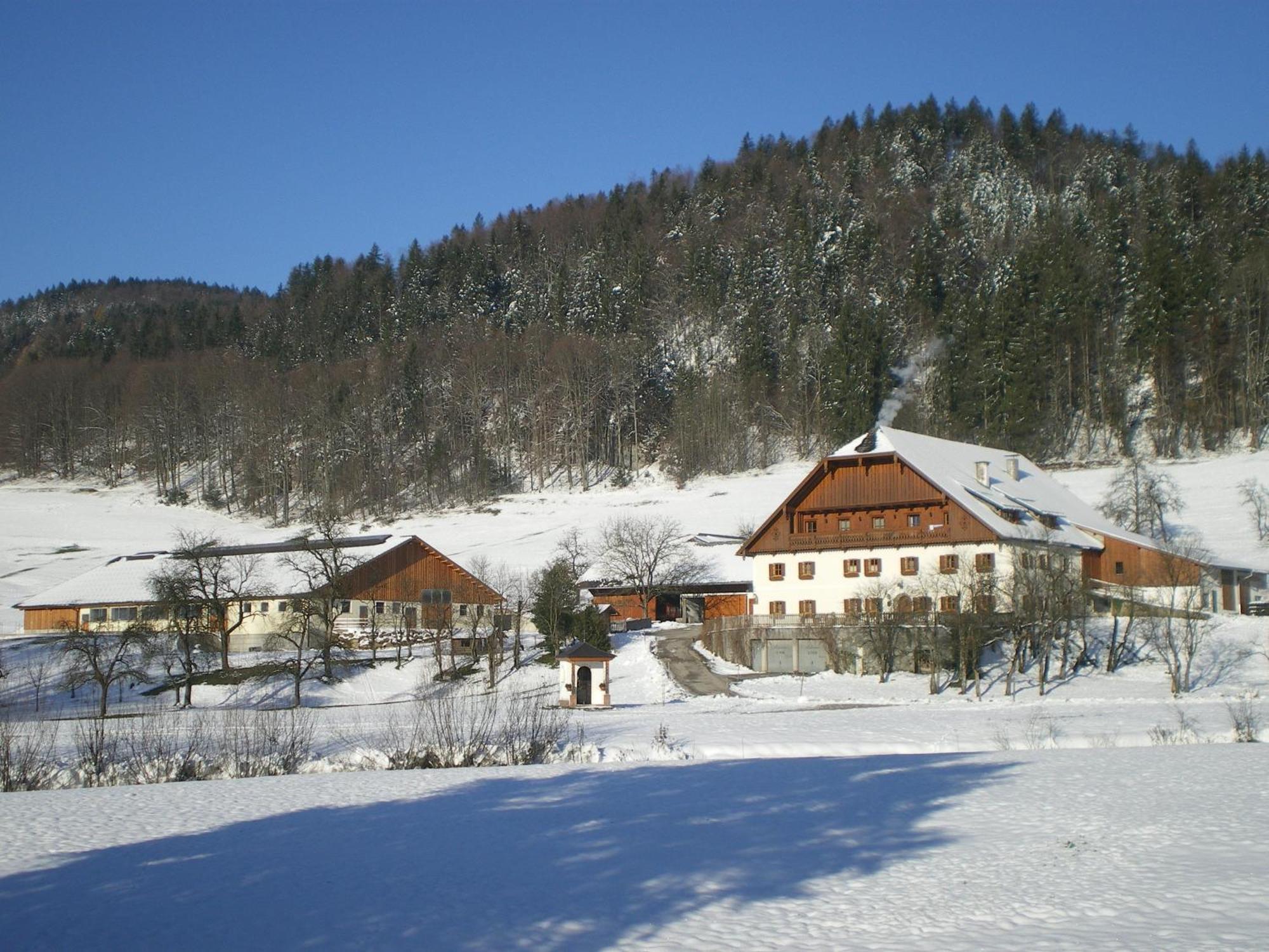 Séjour à la ferme Russbachbauer *
