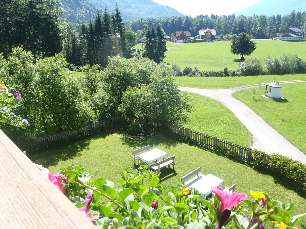 Séjour à la ferme Russbachbauer Saint Wolfgang